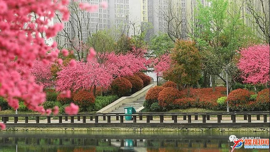 微信圖片_20211231095332.jpg