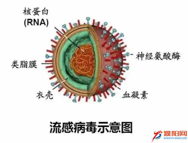 微信圖片_20201202171724.jpg