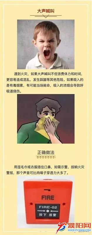 640.webp (1).jpg