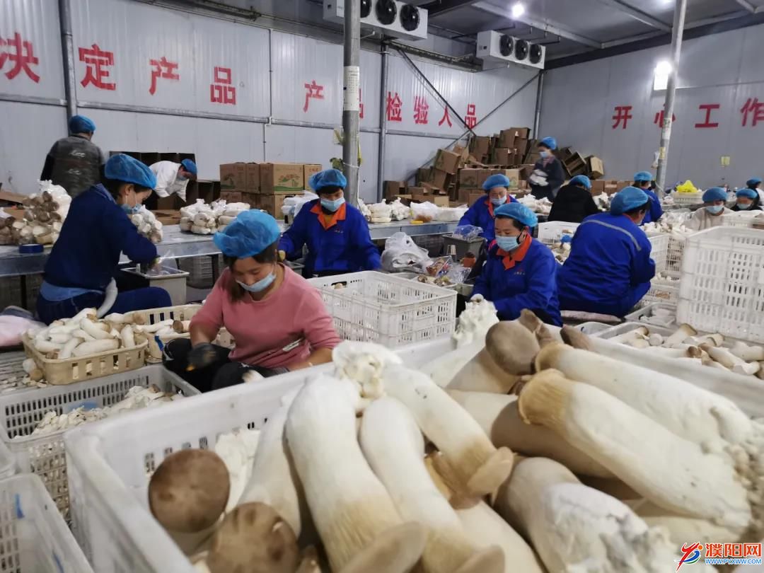 微信圖片_20200330092345.jpg