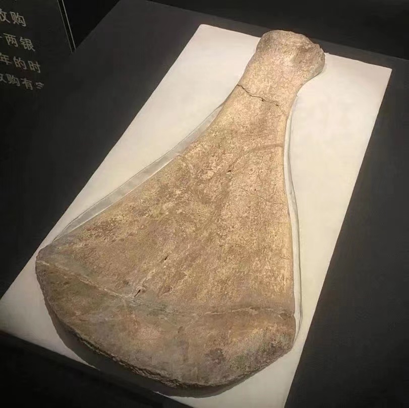 國圖大展圖4.jpg