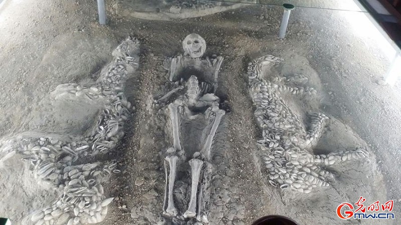 【寫(xiě)意中國(guó)探尋漢字起源】視頻丨這幅6500年前的“蚌塑龍虎圖”，揭示了古代天文歷象