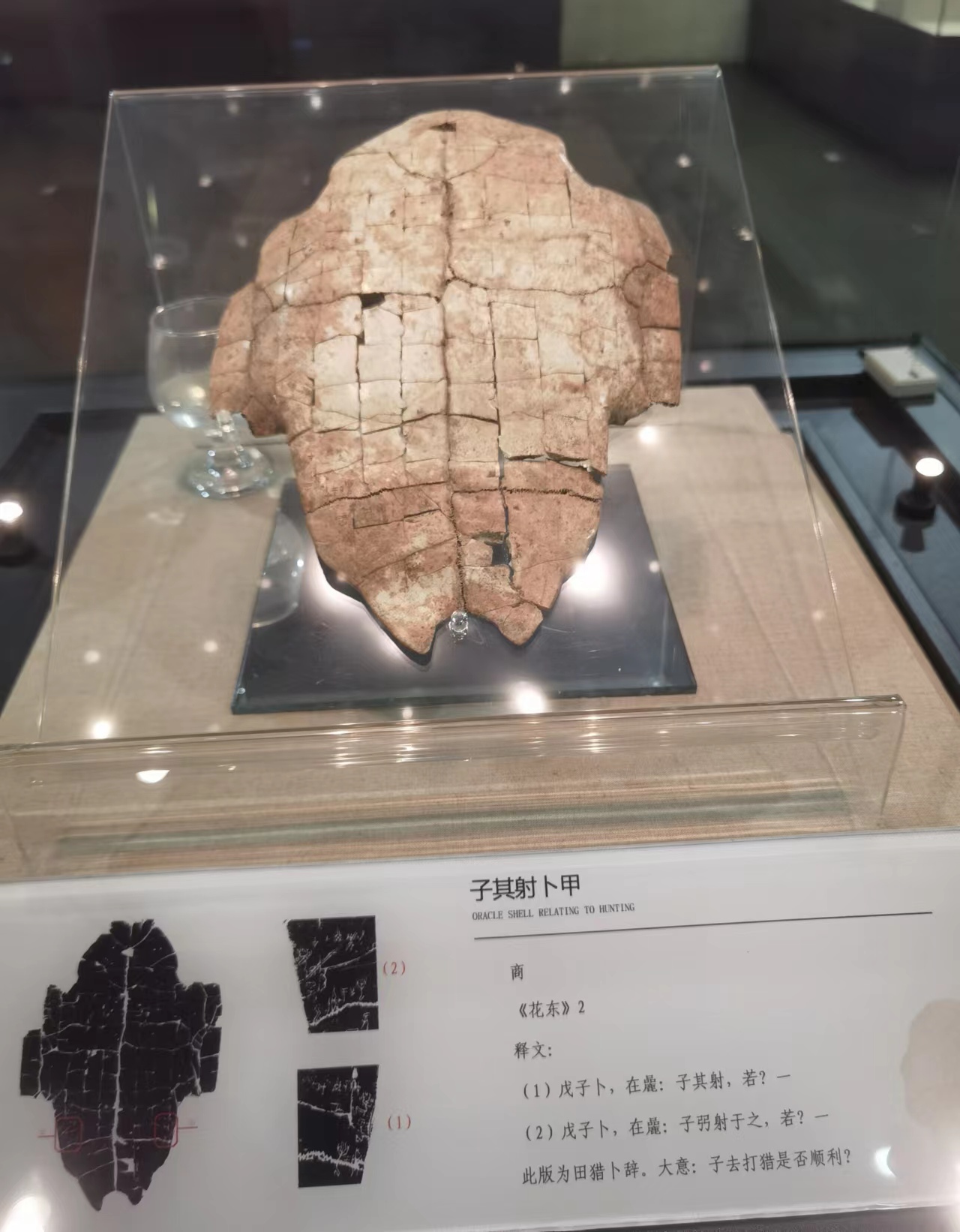 微信圖片_20230320092641.jpg