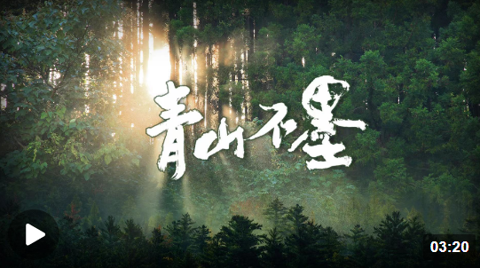 1680239035251.png