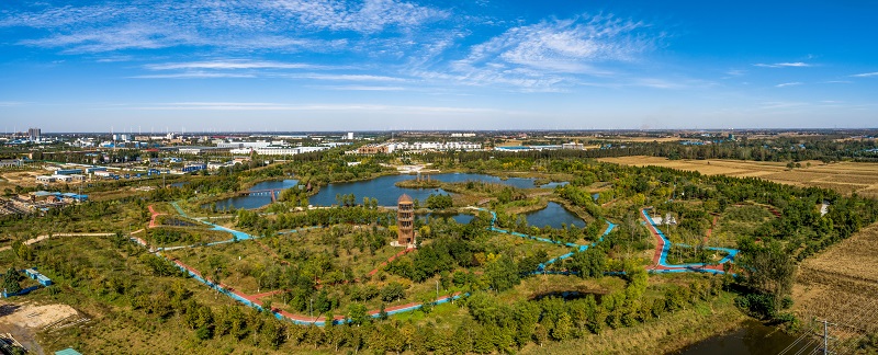 《南樂東湖濕地公園》        王志華.jpg
