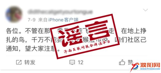 謠言2.jpg